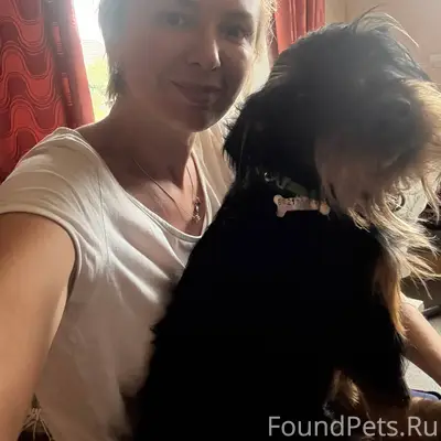 Потерялась собака в районе Поп...