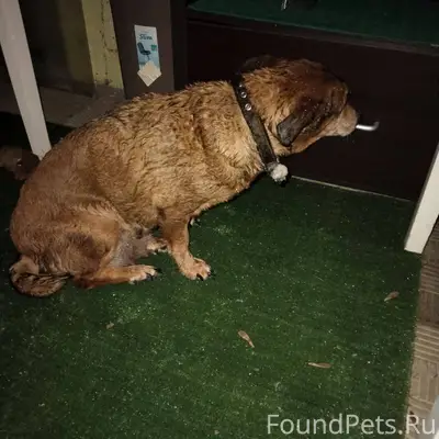 Сейчас, в районе 8 медсанчасти...