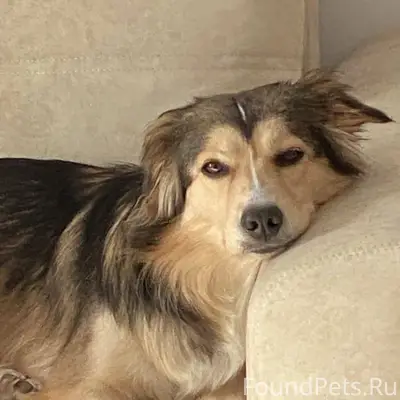 Восток мос обл, Орехово-Зуево ...