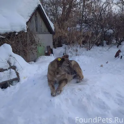 Просьба! Если вы увидели эту с...