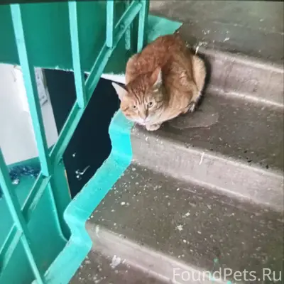 #помогаем_информационно На Арз...