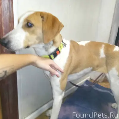 Вчера вечером (25.12.25) в...