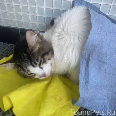 В центре города, ул Гоголя най...