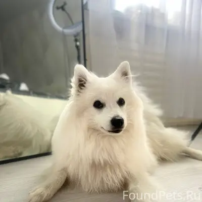 Сегодня в 13:00, в районе...