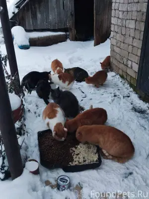 🙏🙏🙏 СЕГОДНЯ В ОЧЕРЕДНОЙ РАЗ, Е...