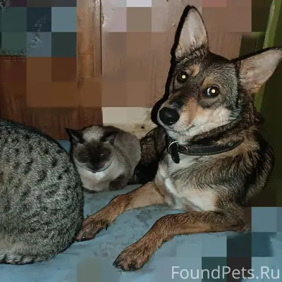 ❇️Нажмите, ПОЖАЛУЙСТА, «Мне нр...