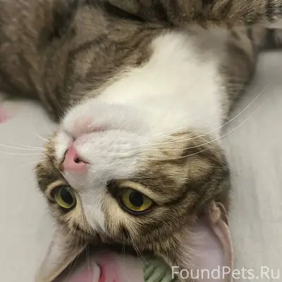 #пропало Доброго всем времени ...