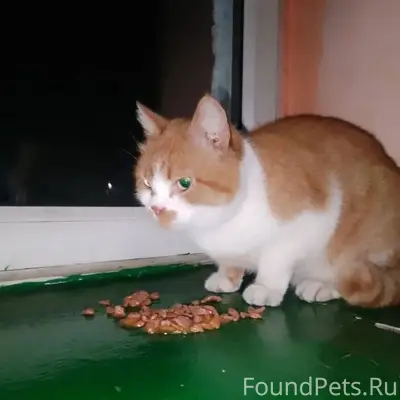 В районе 69 школы на Ясной...