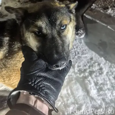 ДРУЗЬЯ! ВОТКИНСК! СРОЧНО! ПРОШ...