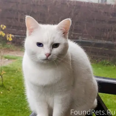 В районе деревни Ивачково и Пр...