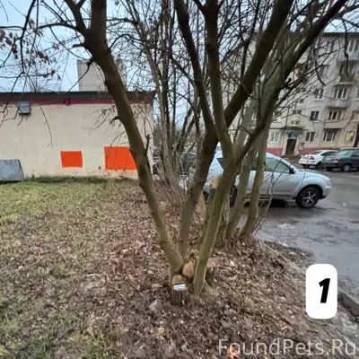 1️⃣ Потеряли карту на имя Носк...