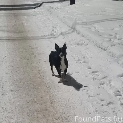 Серпуховский район!замечена ма...