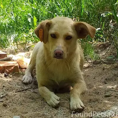 Срочно! 🆘🆘🆘 Жуковский, Верея, ...