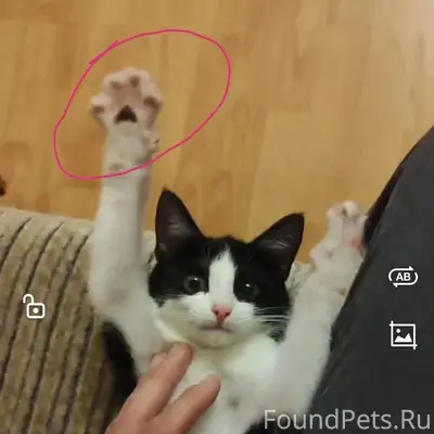 🆘 ПОМОГИТЕ найти потеряшку🙏 14...