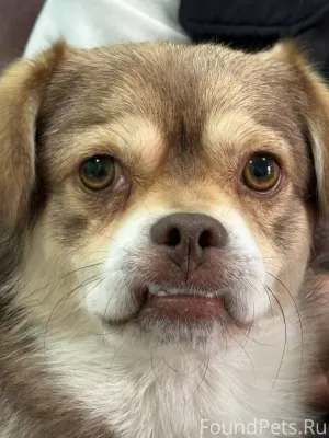 Всем здравствуйте! Помогите по...