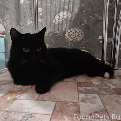 На остановке ( на Сосенском) б...