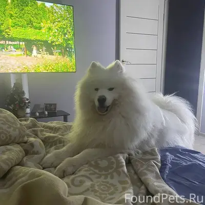 Всем здравствуйте, помогите, п...