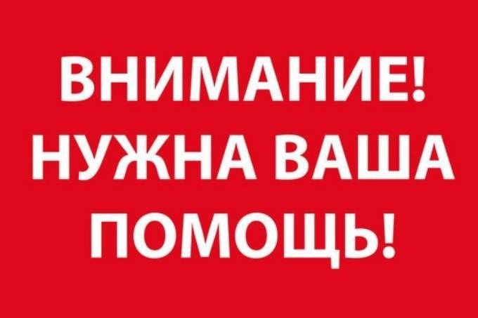 26.12 вечером убежал серый кру...