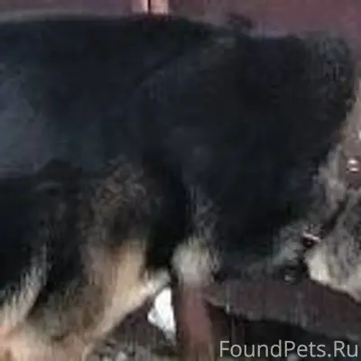 ‼‼‼М.О. г.Ногинск (АТХ-2...