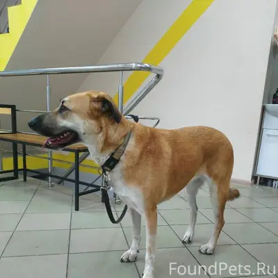 Люди помогите 🆘 пожалуйста Пом...