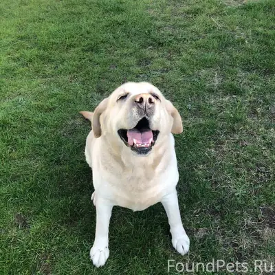 Брест, район Плоска! ПРОПАЛА С...