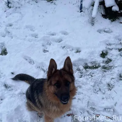 Дорогие друзья! У нас случилас...