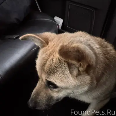 В СНТ по Мельничной пади в...