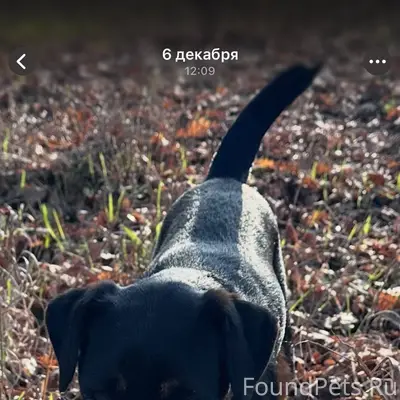 Вчера в районе х. Чапаевец пот...