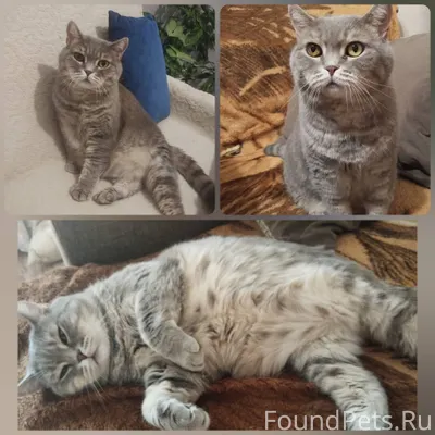 ЧМР ❗❗❗ Добрый день! Потерялся...