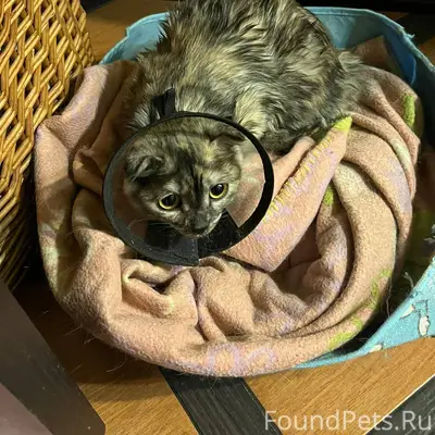 Днем на окне газпрома на Фрунз...