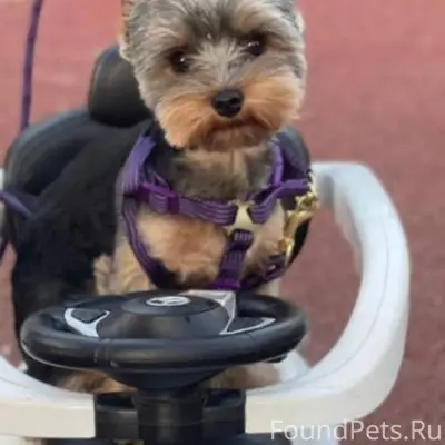 Доброе утро. Внимание ‼️ Пропа...