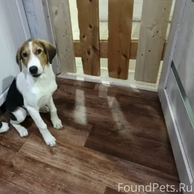 Добрый день. СРОЧНО. Прибился ...