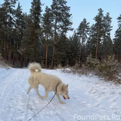 Дорый вечер. Вчера днем на Ниж...