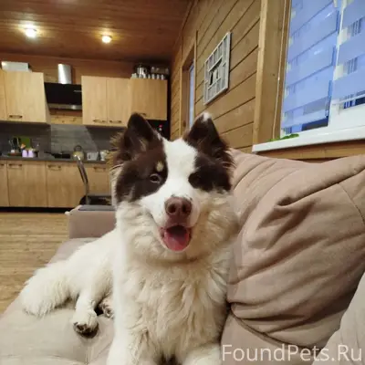 В районе лесозавода пропала со...