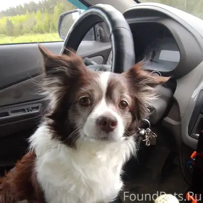 Важная информация ❗ Пропала со...