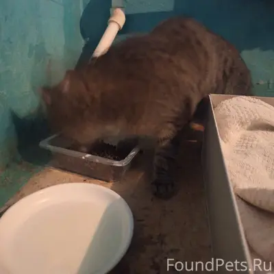 Всем здравствуйте! В районе ул...