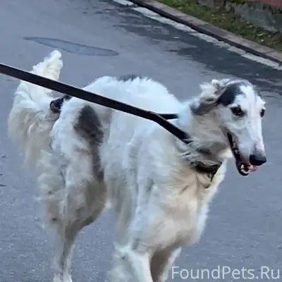 Помогите, пожалуйста! Пропала ...