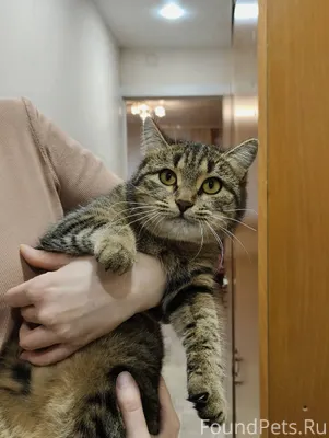 Знакомьтесь! Это Криста! 💎 Оче...