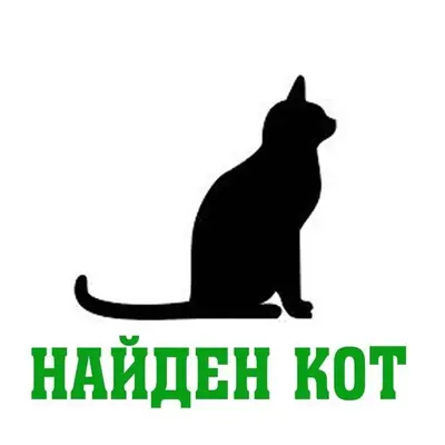 Срочно!!!!‼️ Найден кот с ошей...