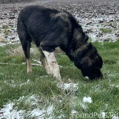 Недалеко от Котельниково в пол...