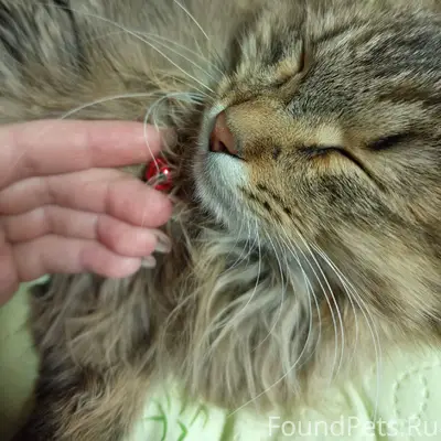 Всем доброго времени суток. На...