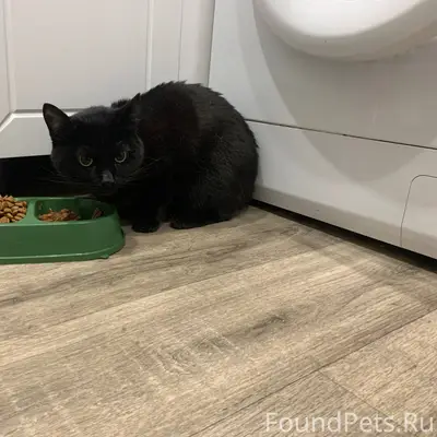 В одном из подъездов дома Лени...