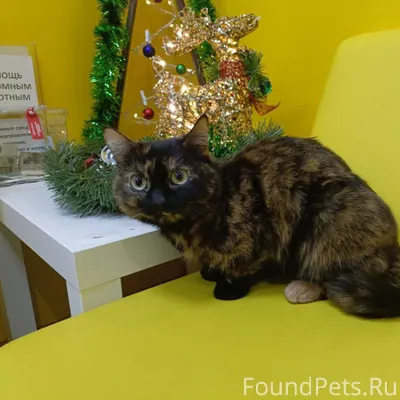 ЛЮДИ С ДОБРЫМ СЕРДЦЕМ, ПРОСИМ ...