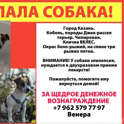 Очень прошу о помощи в поисках...