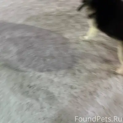 В 20:10 на 11 квартале...