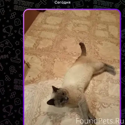 Помогите опубликовать пожалуйс...