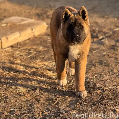 Уважаемые рыбаки! ПРОСЬБА К ВА...