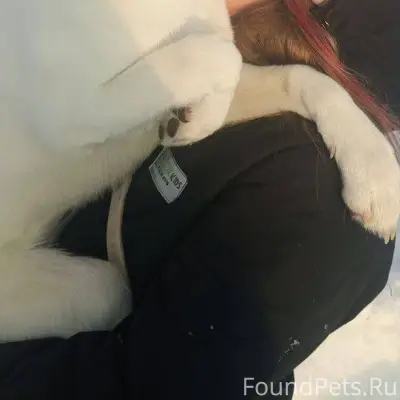 [12.29.2025]—Здравствуйте, бег...