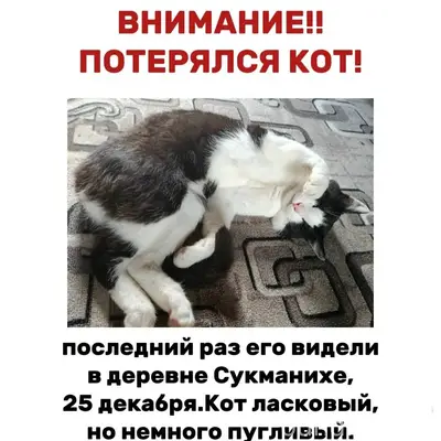 ВНИМАНИЕ!! 25.12 2025 г. ПРОПА...