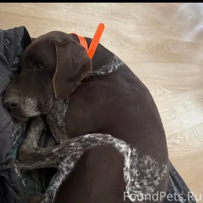 Здравствуйте, помогите найти с...